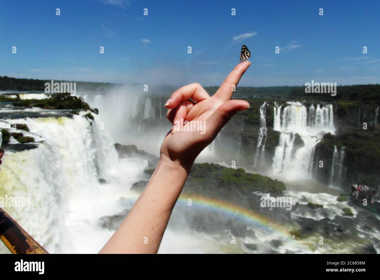 Schöne Natur von Brasilien: Wasserfälle Iguazu. Viel Wasser, Sonne und Glück Stockfoto