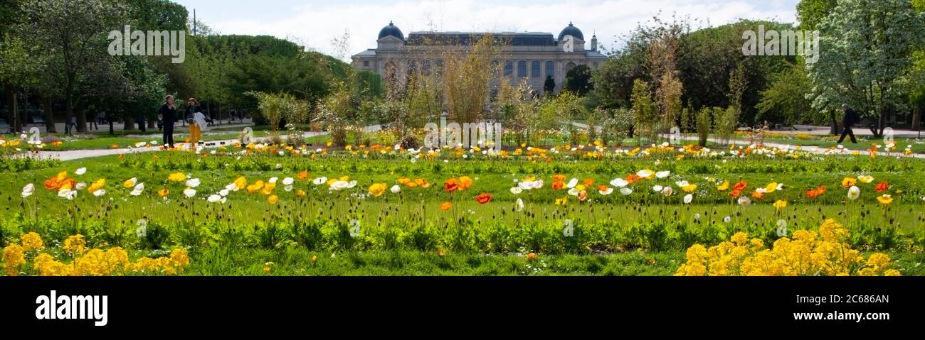 Blühende Blumen im Jardin des Plantes und Naturhistorisches Museum im Hintergrund, Paris, Frankreich Stockfoto