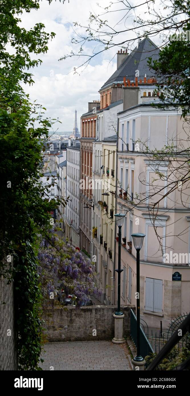 Blühende Glyzinie und Treppe in der Nähe des Parc de Belleville im 20. Arrondissement, Paris, Frankreich Stockfoto
