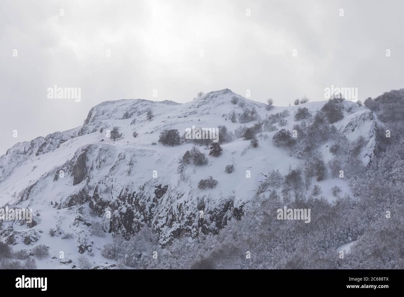 Schneebedeckter Berg mit Bäumen und Nebel Stockfoto