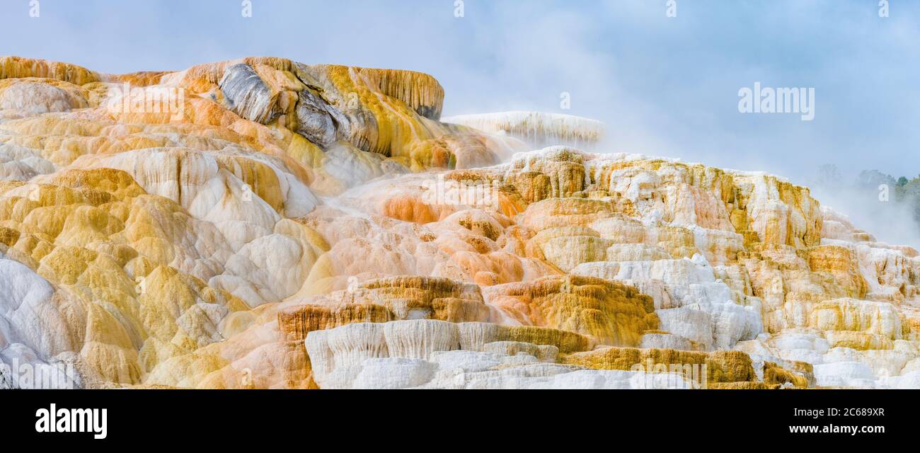 Nahaufnahme von Felsen, Palatte Spring, Mammoth Hot Springs, Yellowstone National Park, USA Stockfoto