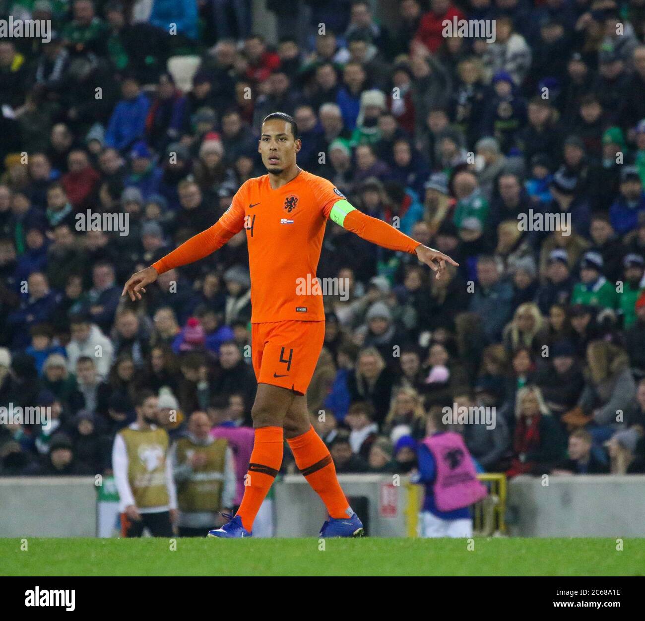 16. November 2019. UEFA Euro 2020 Qualifier im National Football Stadium im Windsor Park, Belfast. Nordirland 0 Niederlande 0. Der niederländische Fußballspieler Virgil van Dijk im Einsatz für die Niederlande. Stockfoto