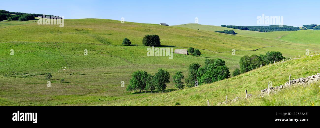 Hügelige Landschaft der Felder, Aubrac Plateau, Cantal, Region Auvergne Rhone Alpes, Frankreich, Europa Stockfoto