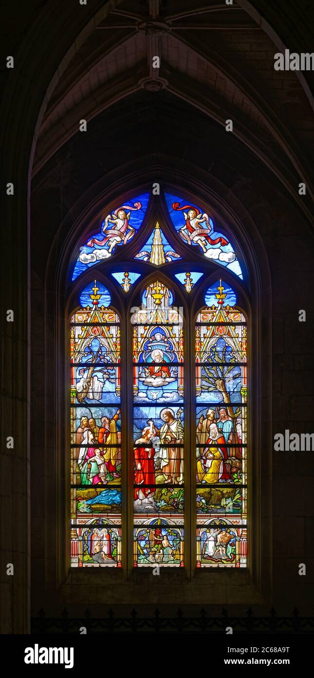 Innenfenster der Kathedrale Notre Dame de Lassomption, Luzon, Pays de la Loire, Frankreich Stockfoto