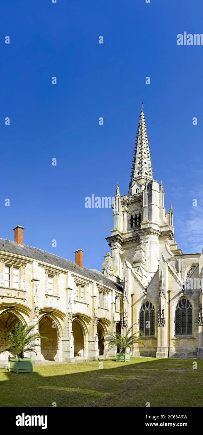 Außenansicht der Kathedrale Notre Dame de Lassomption, Luzon, Pays de la Loire, Frankreich Stockfoto