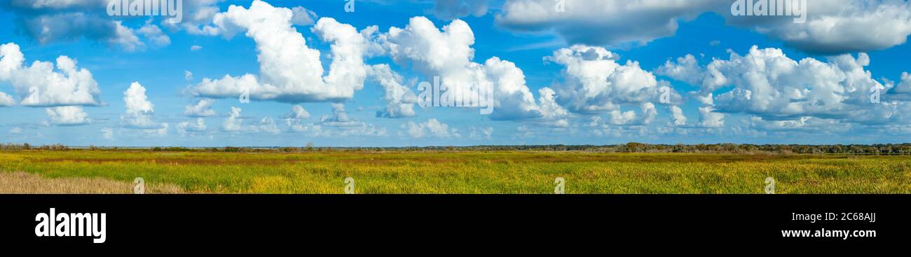 Große weiße Wolken in blauem Himmel über dem Südwesten Floridas, USA Stockfoto