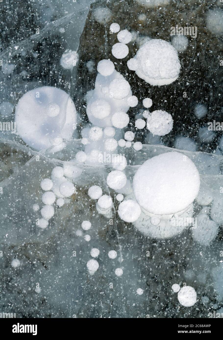 Blasenmuster im Wintermideis, Abraham Lake, Alberta, Kanada Stockfoto