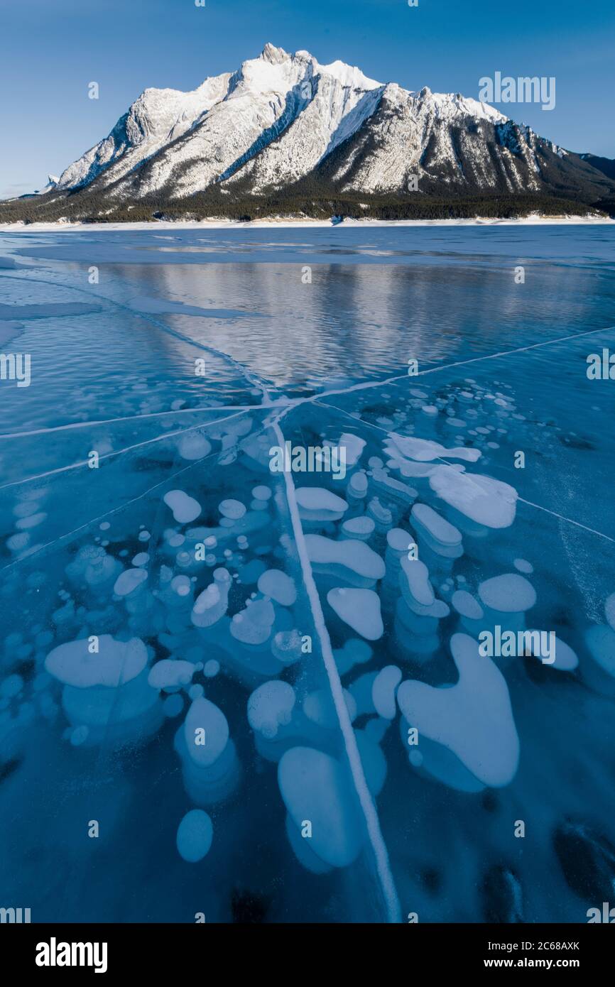 Methanblasen gefroren im Eis unter Mt. Michener, Abraham Lake, Alberta, Kanada Stockfoto