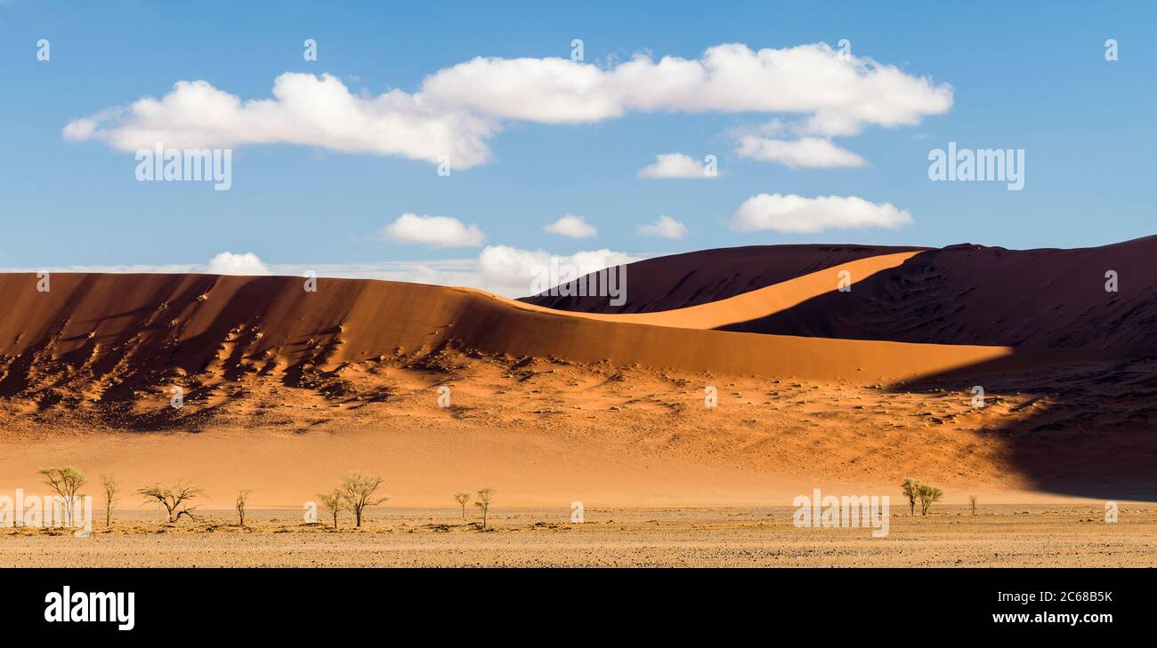 Blick auf Dünen, Sossusvlei, Namib-Naukluft Nationalpark, Namibia, Afrika Stockfoto