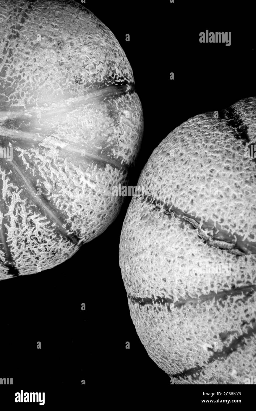 Eine schwarz-weiße Nahansicht von zwei Honigmelonen. Stockfoto