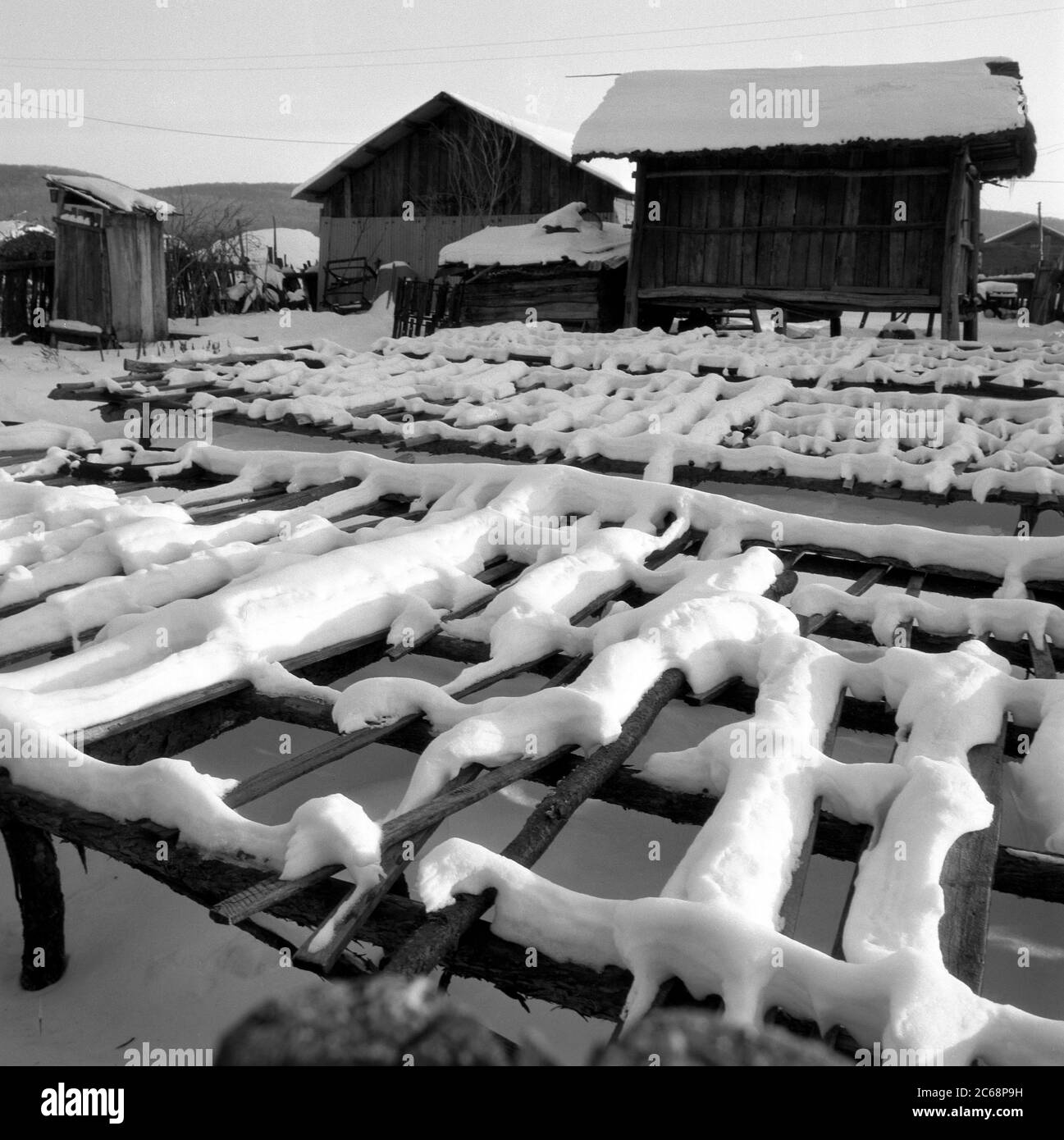 Mudanjiang nordöstlich Belagerung von Waldschnee Stockfoto