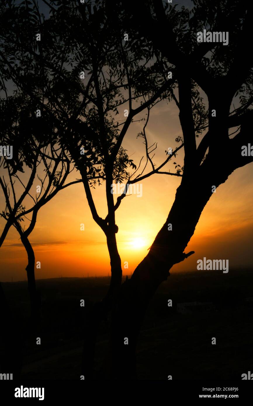 Tote Äste, Trockener Baum und Trockenzweig, Sonnenuntergang am Abend Stockfoto