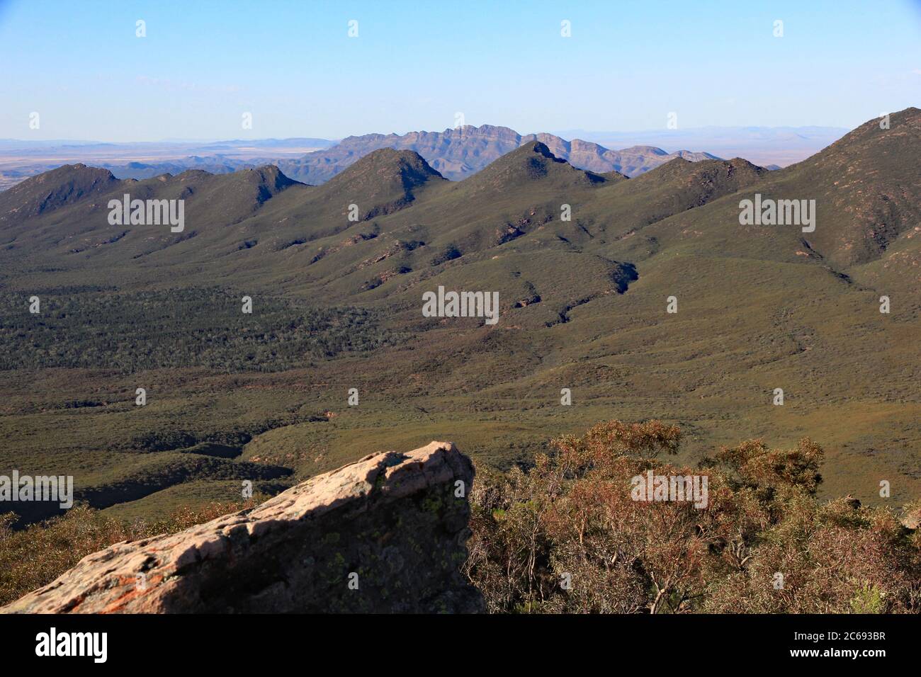 Verdrehte und gefaltete uralte Felsen der Flinders Ranges in Südaustralien, die an einem sonnigen Frühlingsmorgen von der Spitze des St. Mary’s Peak aus gesehen werden Stockfoto