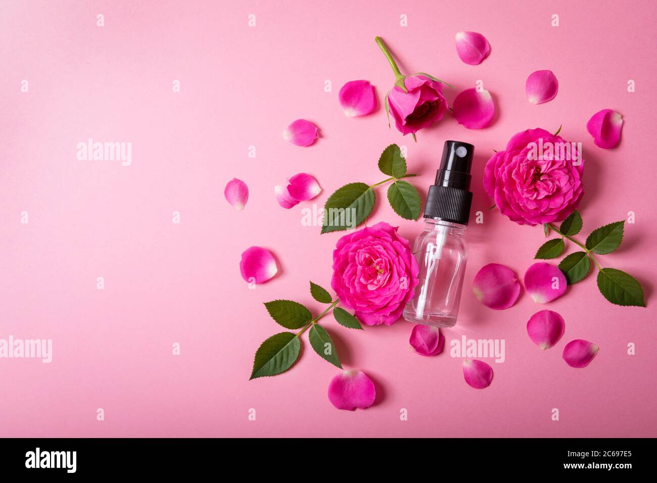 Rosenwasser Spray mit rosa frischen Blumen und Blütenblättern auf rosa Hintergrund mit Kopierraum Stockfoto