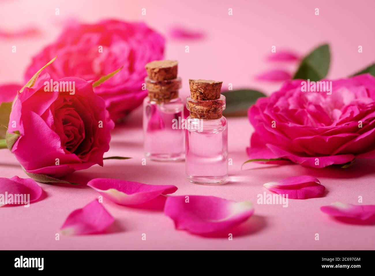 Rosenwasser oder ätherisches Öl in Glasflaschen mit rosa frischen Rosenblüten und Blütenblättern auf rosa Hintergrund Stockfoto