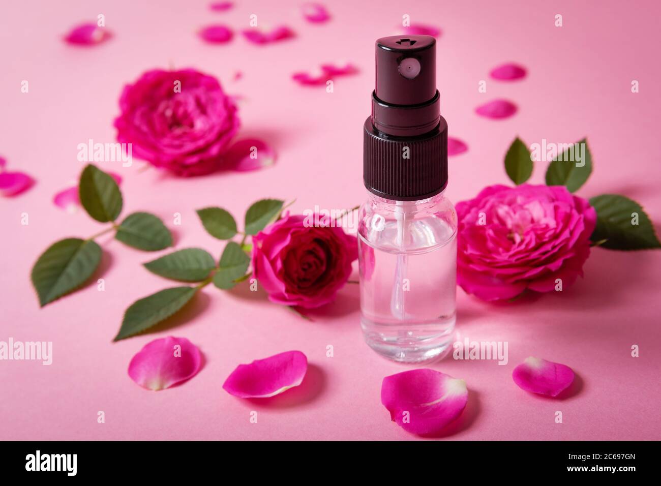 Duftendes Rosenwasser Spray mit rosa frischen Blumen und Blütenblättern auf rosa Hintergrund Stockfoto