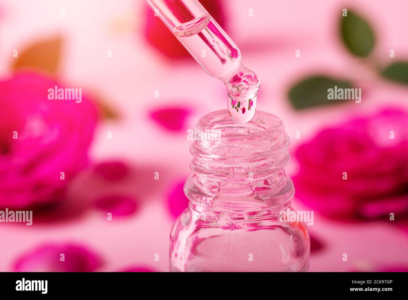 Tropf mit Rosenblüten ätherisches Öl Tropfen über die Flasche Stockfoto