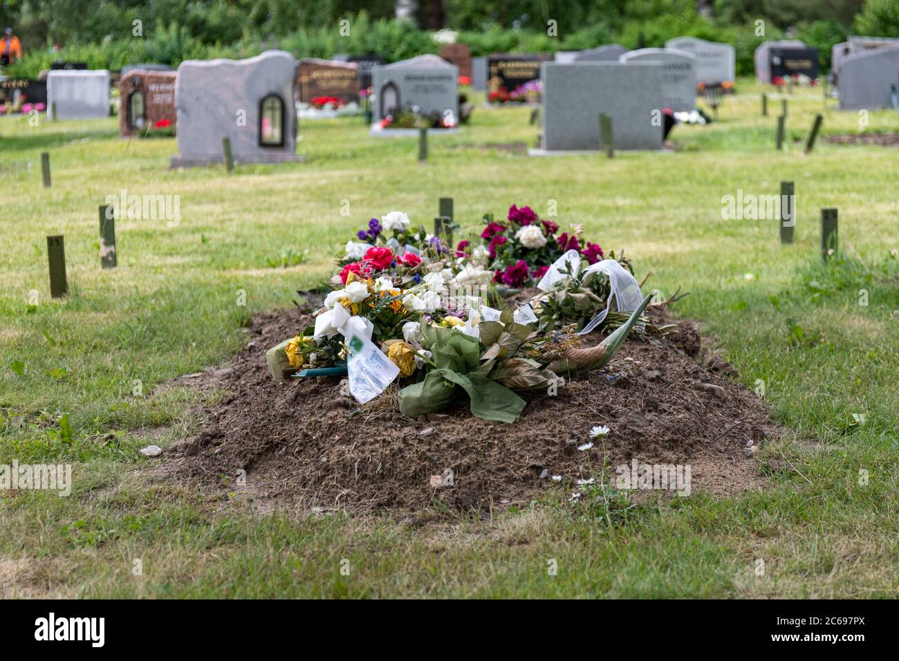 Frisches Grab mit Beerdigungsblumen auf einem Friedhof Stockfoto