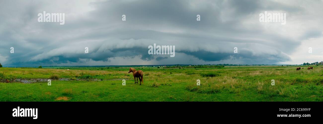 Wunderbares Panorama auf die Berge. Pferde auf einer Bergwiese. Sommer-Panorama-Landschaft in den Bergen. Ukraine, Karpaten. Schöne Natur V Stockfoto