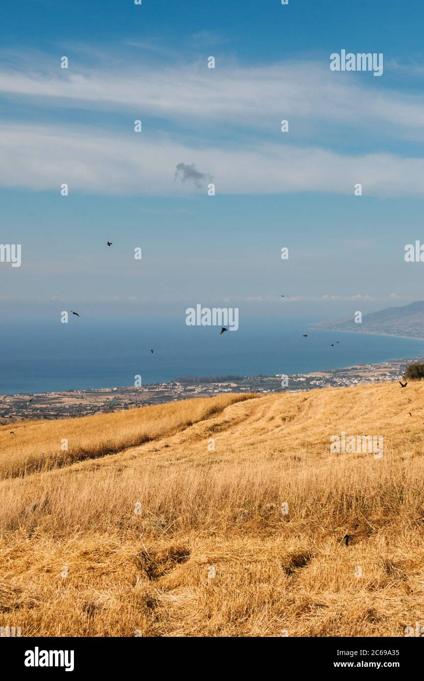 Ernte in Fasli, Paphos, Zypern Stockfoto