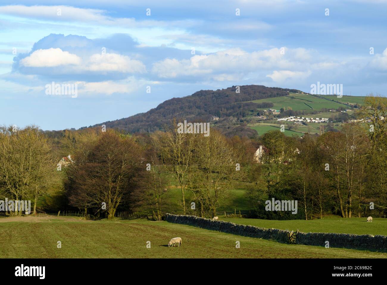 Hoch prominenter Landmark Hill (Ridge), Hügel Waldbäume, Ackerland Felder, Schafe & blauer Himmel - malerische Aussicht auf Otley Chevin, Wharfedale, England Großbritannien Stockfoto
