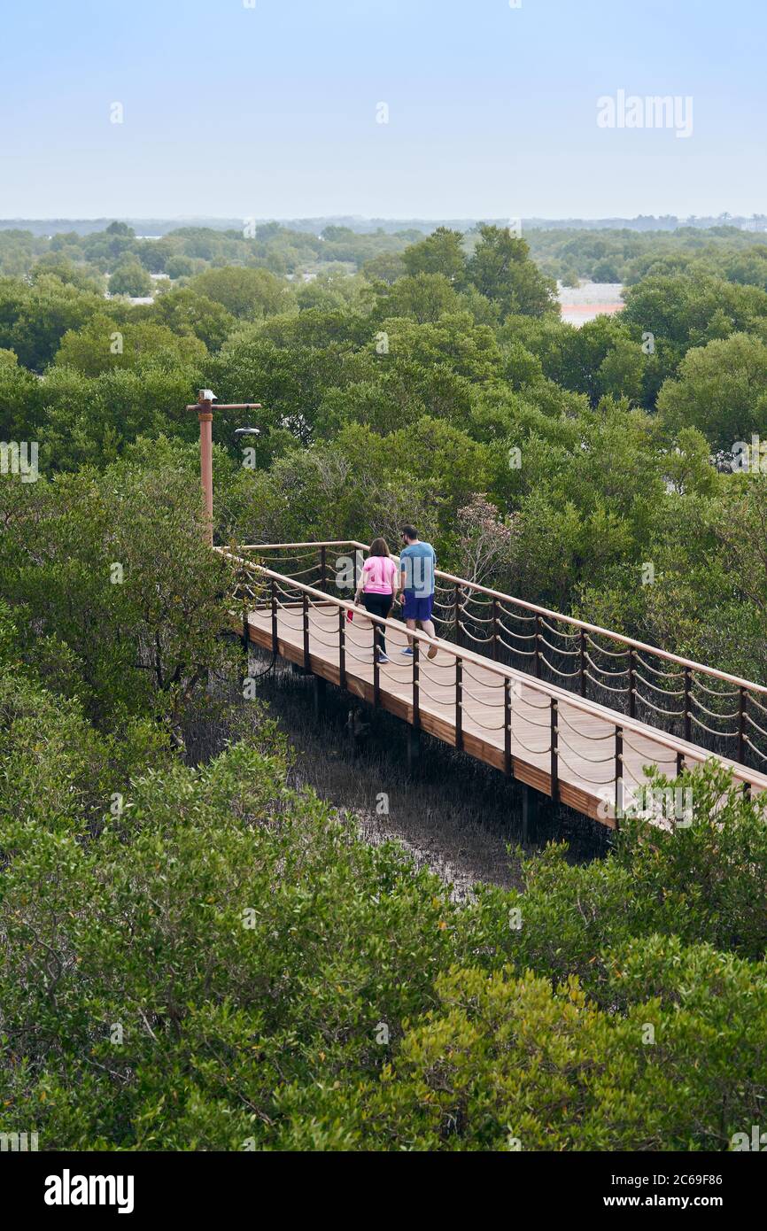 Ein Paar, das gegen Ende des Mangroven-Spaziergangs ging. Stockfoto