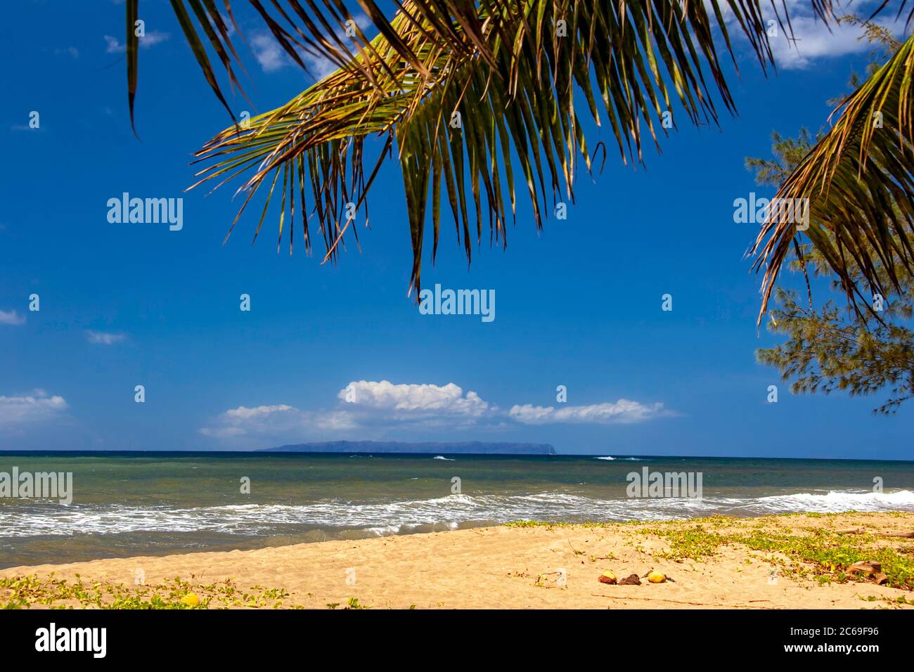 Palmen und Strand auf Kauai umrahmen die Insel Niihau am Horizont, Hawaii. Stockfoto