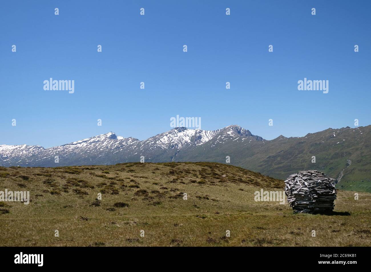 Alluviale Holzkugel auf dem Glaser-Grat, Glaspass, Naturpark Beverin,  Kanton Graubünden, Schweiz Stockfotografie - Alamy