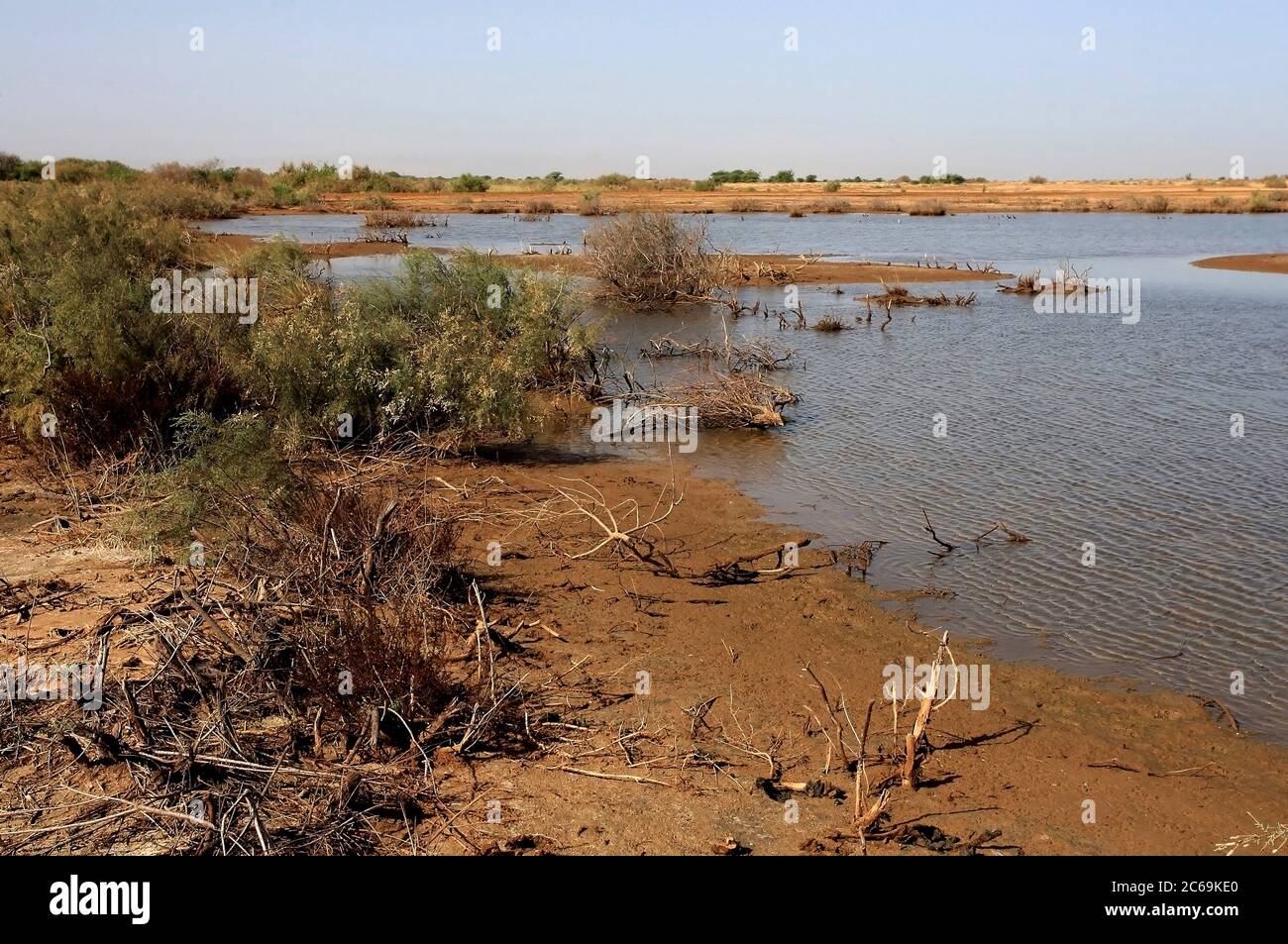 Nationalparks im senegal Fotos und Bildmaterial in hoher Auflösung