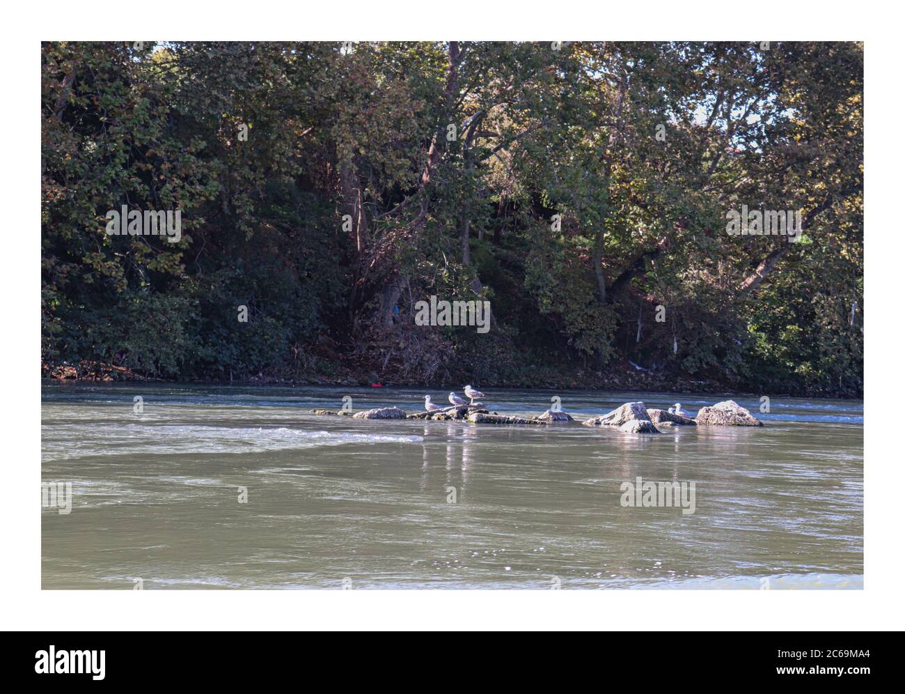 Roma, Italien. Juli 2020. Der Tiber zwischen Ponte Magliana und Ponte Marconi. Kredit: SPP Sport Presse Foto. /Alamy Live Nachrichten Stockfoto