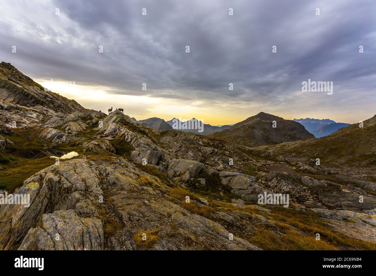 Sonnenaufgang in den Schweizer Alpen mit Chamoisen - Huette Cadlimo am Lukmanierpass, Kanton Tessin, Schweiz Stockfoto