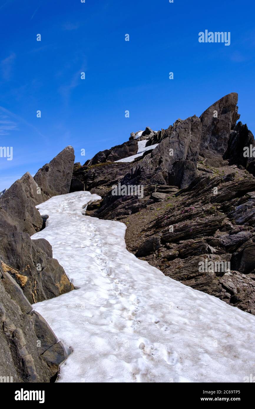 Gipfel des Nuefenenstocks, Lepontinische Alpen, Schweiz Stockfoto