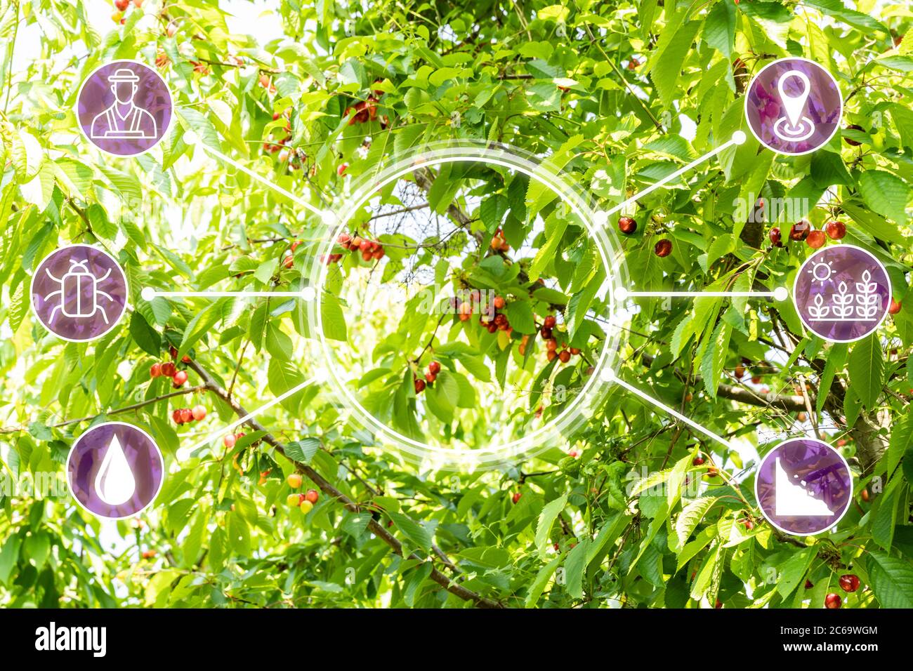 Smart Farming Digitale Technologie Landwirtschaft Auf Dem Bauernhof Stockfoto