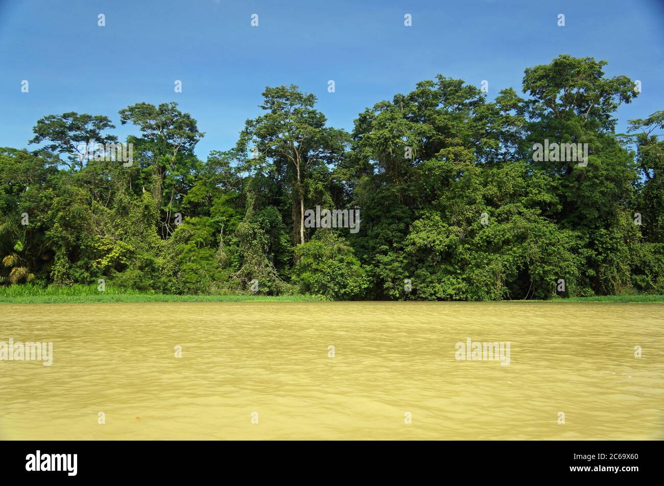 Holzwand in Tortuguero vom Fluss Stockfoto