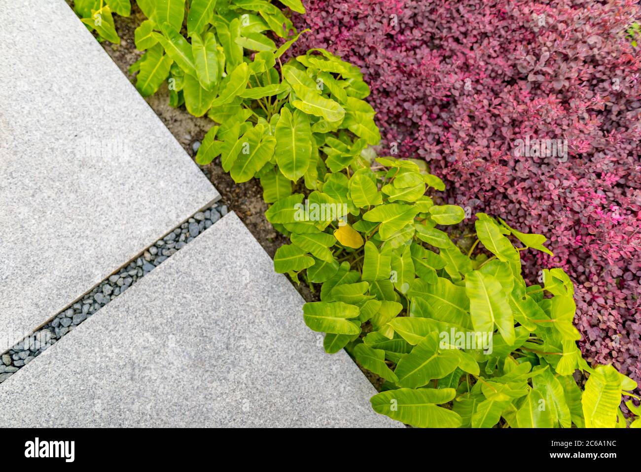 Gehweg im Garten. Weg durch einen Garten von oben Stockfoto