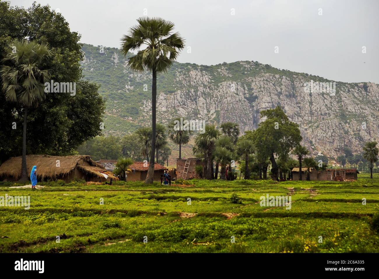 Landschaft des landwirtschaftlichen Dorfes Faldu im Bezirk Nawada, Bihar, Indien. Stockfoto