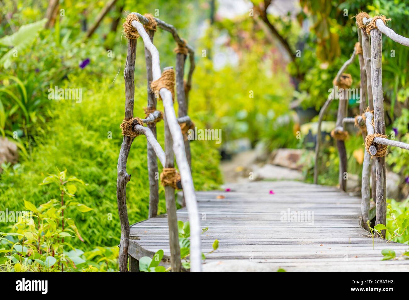 Eine alte schmale Hängebrücke, tropische grüne Natur Stockfoto