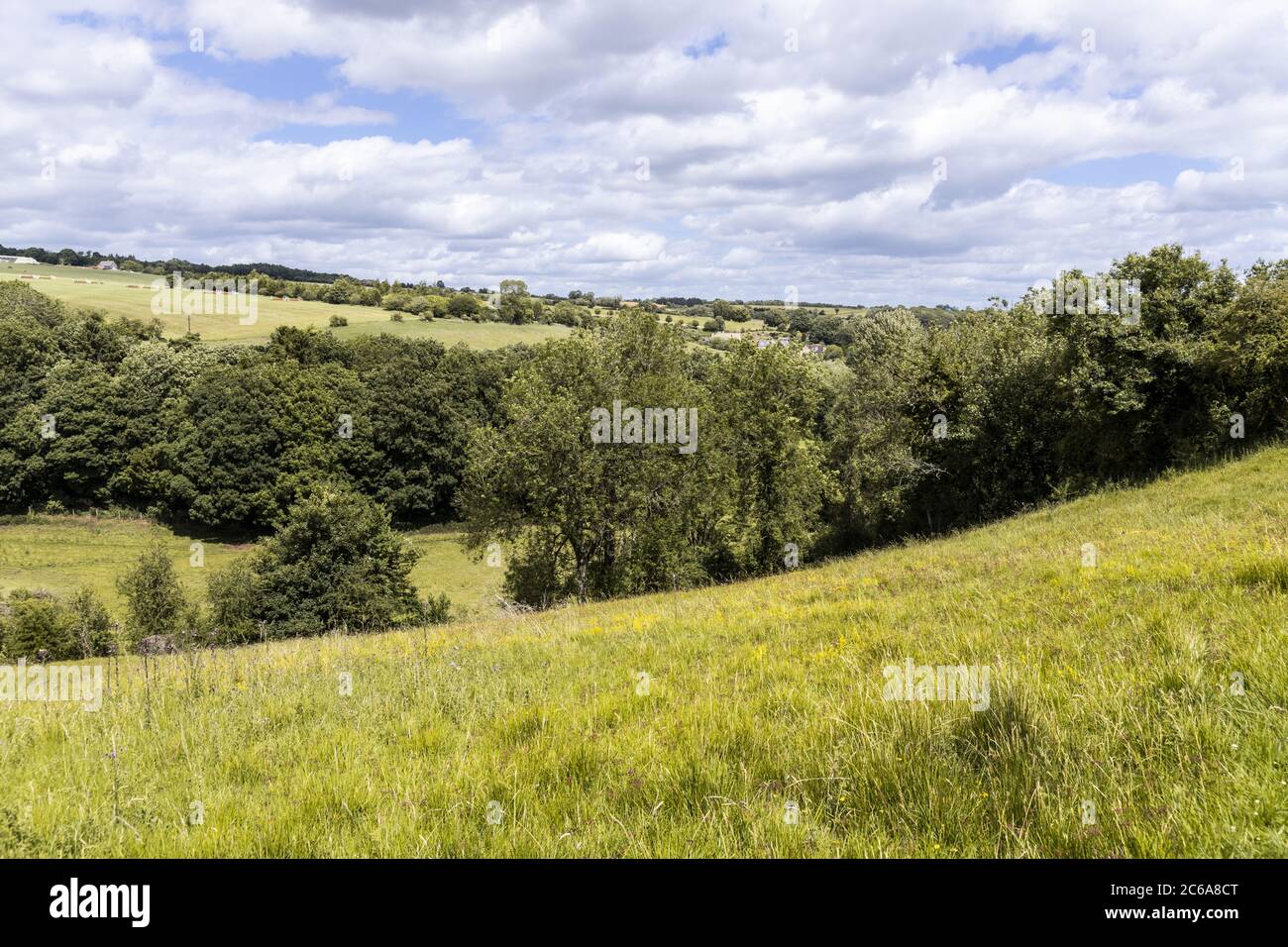 Das Tal des Flusses Windrush in der Nähe des Cotswold-Dorfes Naunton, Gloucestershire UK Stockfoto