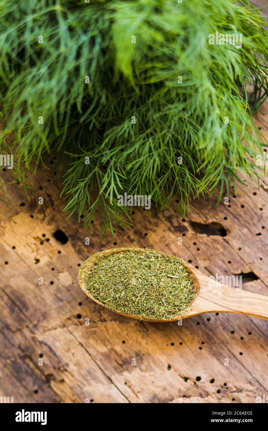 Holzlöffel gefüllt mit trockenem Dill, frische Dill Sprossen dahinter Stockfoto