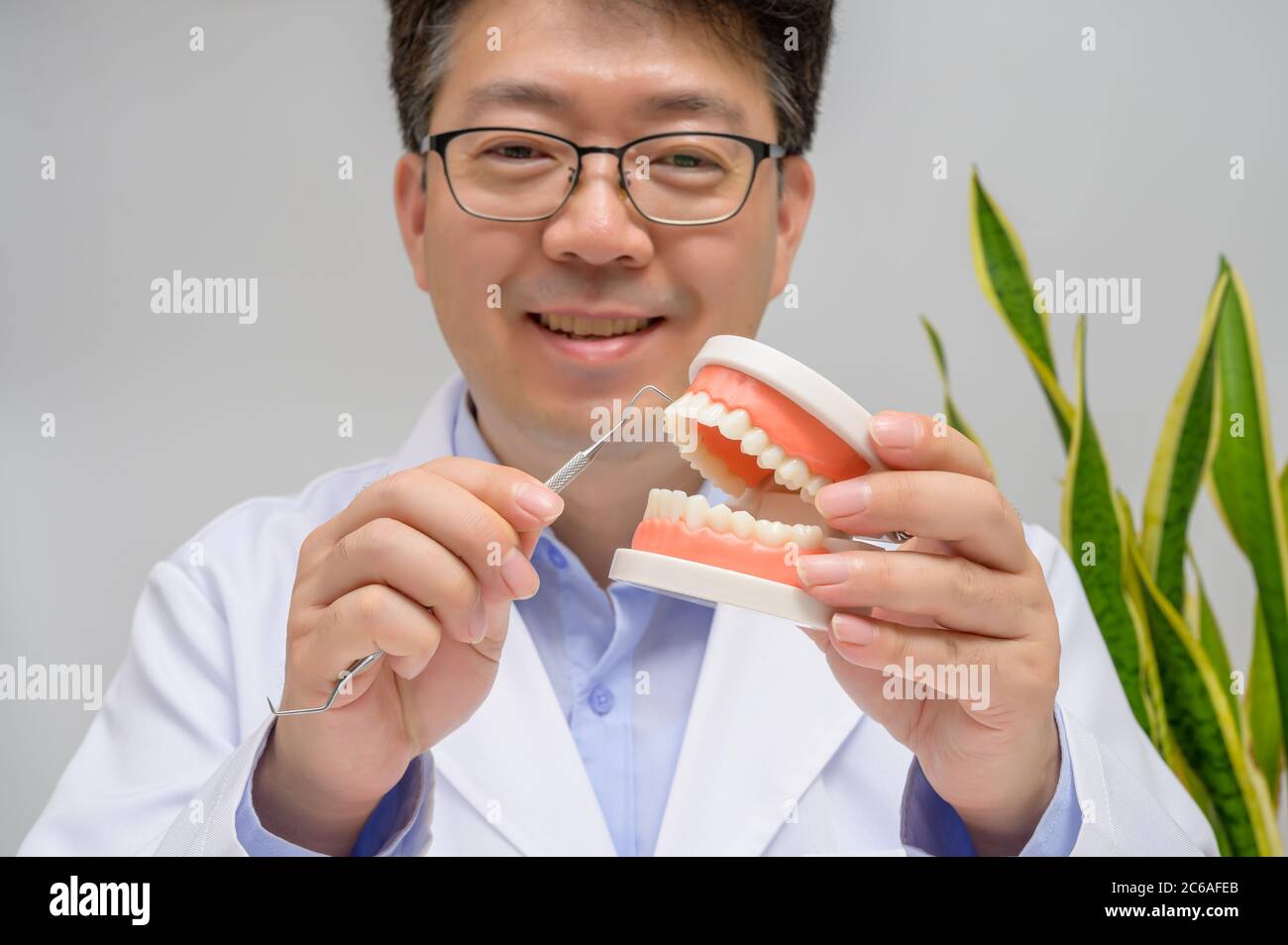 Ein asiatischer Zahnarzt mittleren Alters, der Zahnmodell und zahnärztliche Geräte in der Hand hält. Stockfoto