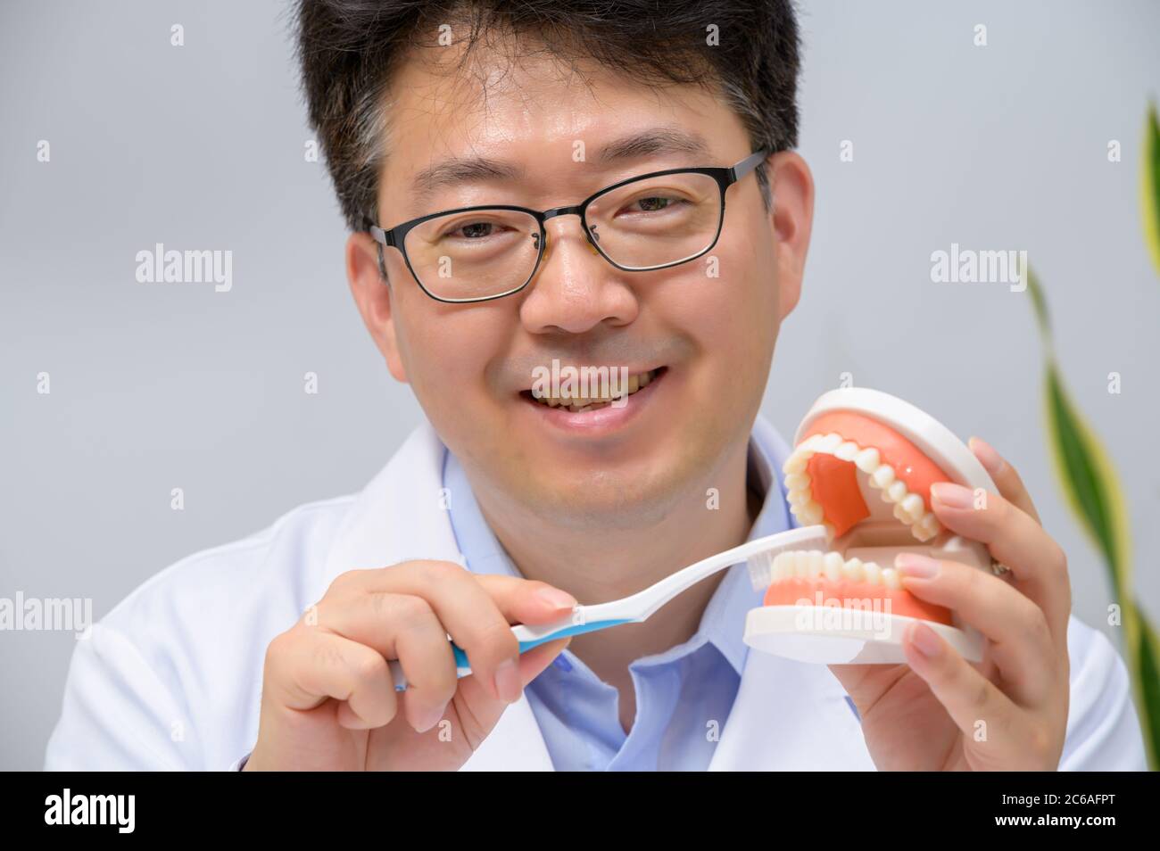 Ein asiatischer Zahnarzt mittleren Alters, der Zahnmodelle und Zahnbürsten in der Hand hält. Stockfoto