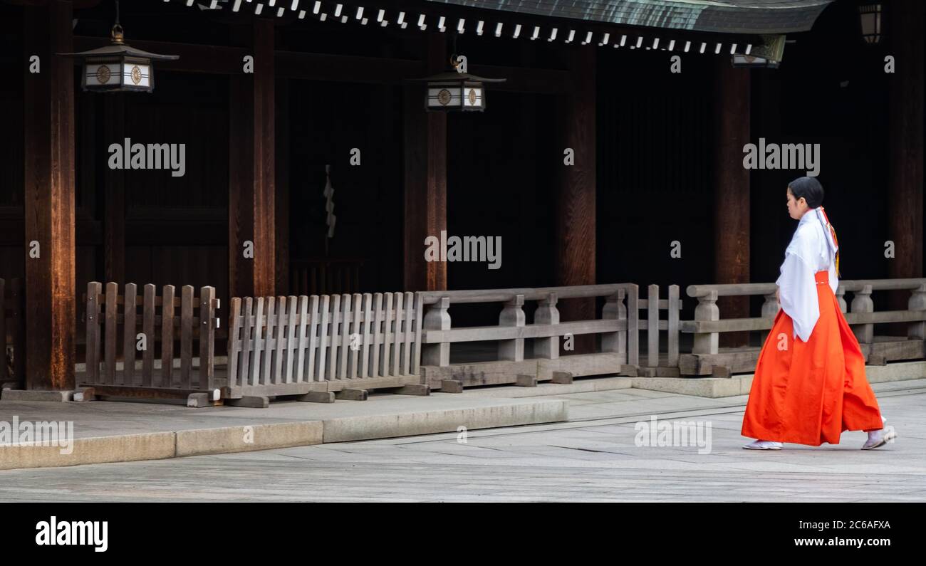 Miko oder Schreinmädchen auf dem Meiji Jingu Shinto Schreingelände, Tokyo, Japan Stockfoto