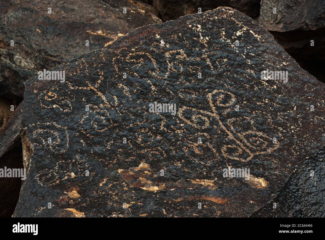 Nasse Felszeichnungen an Regentagen in Picacho Mountains, Sonoran Desert, Arizona, USA Stockfoto