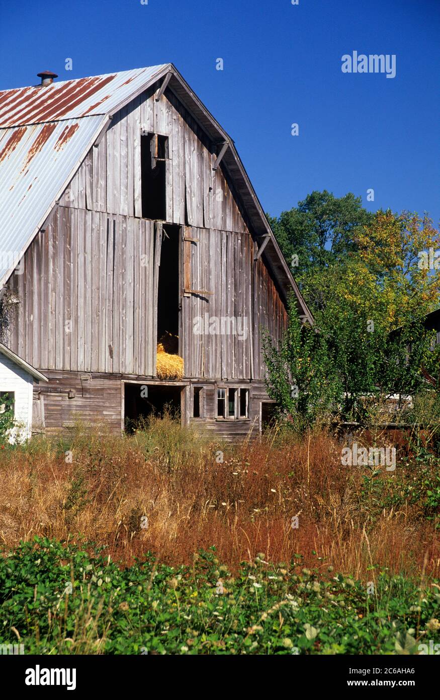 Barn, Lewis County, Washington Stockfoto