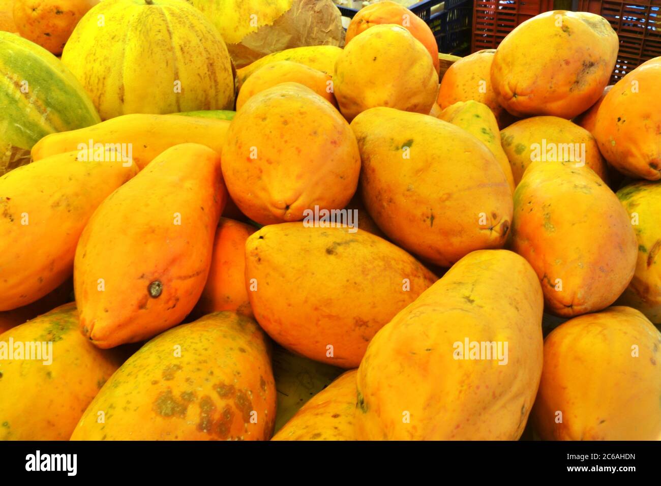 Papaya Obst , in einer Straßenmesse im Inneren von Brasilien, wo die Produzenten direkt verkaufen ihre landwirtschaftlichen Produkte, in einem Foto-Zoom, Brasilien, Süd-A Stockfoto