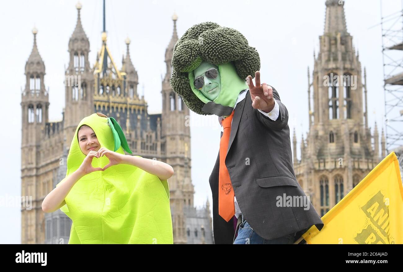 Menschen während einer von Save British Farming (SBF) organisierten Demonstration von Slow-Traktoren und landwirtschaftlichen Anhängern auf dem Parliament Square in Westminster, London, um gegen Drohungen gegen britische Lebensmittelstandards in zukünftigen Handelsabkommen zu protestieren. Stockfoto