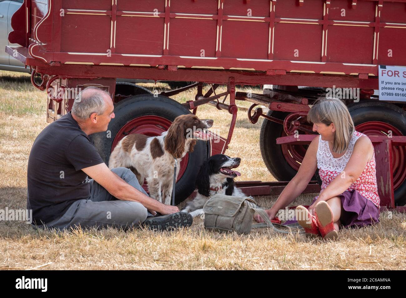 Eine Dame und ein Herr erholten sich und saßen mit ihren beiden Spaniel Hunden an der Seite eines alten Festplatz-Caravans. England, Großbritannien Stockfoto