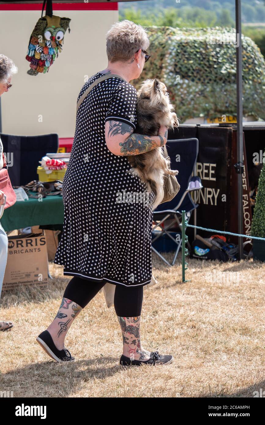 Tätowierte Frauen mit einem kleinen Hund, der in der Sonne auf einem Feld läuft. England, Großbritannien Stockfoto