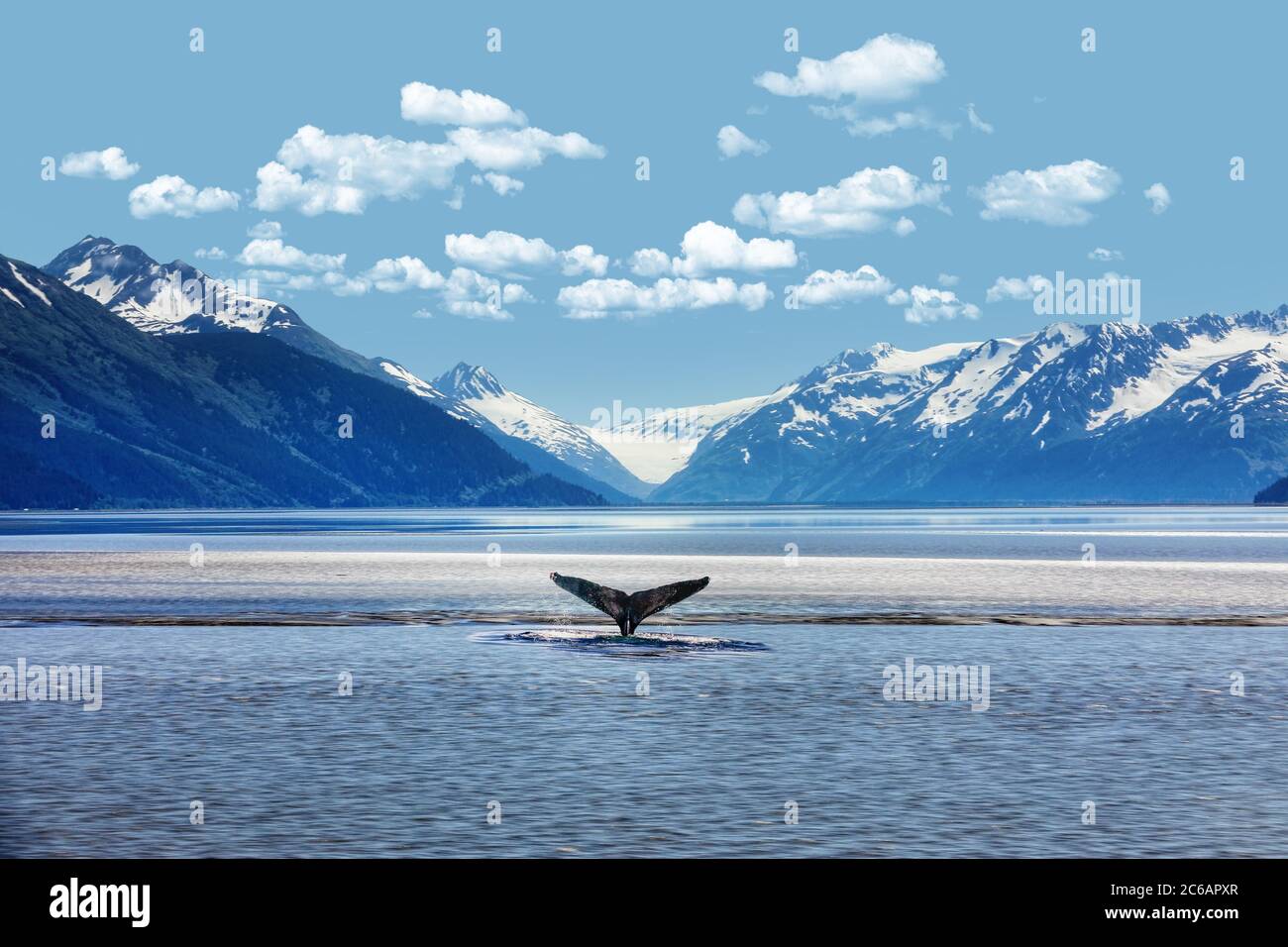 Buckelwal Schwanz mit eisigen Bergen Hintergrund Alaska Stockfoto