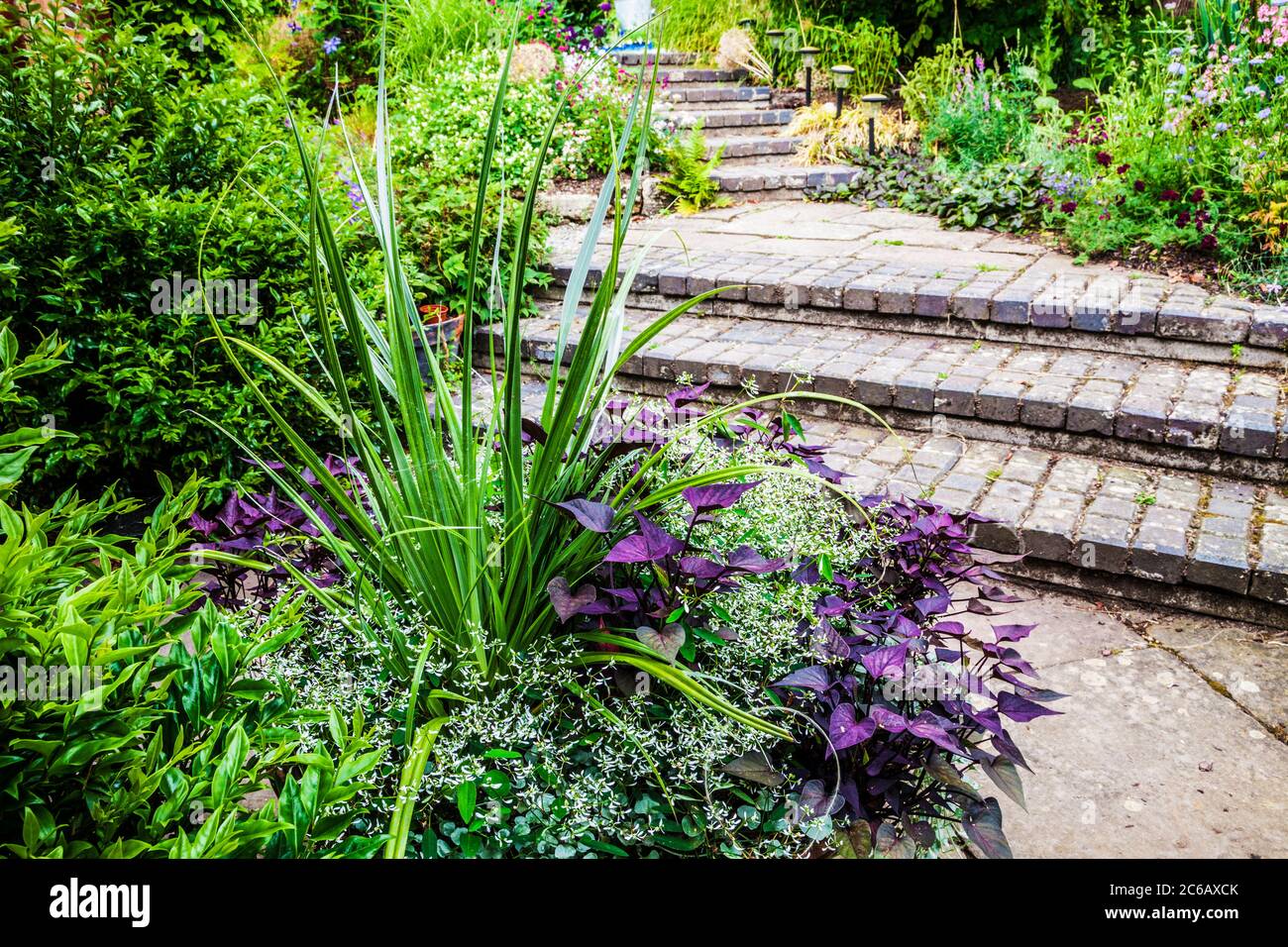 Block gepflasterten Stufen von Gartenbeleuchtung, die zwischen krautigen und Strauchränder. Stockfoto